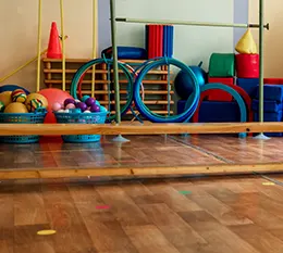 P.E & Gym <br />Equipment